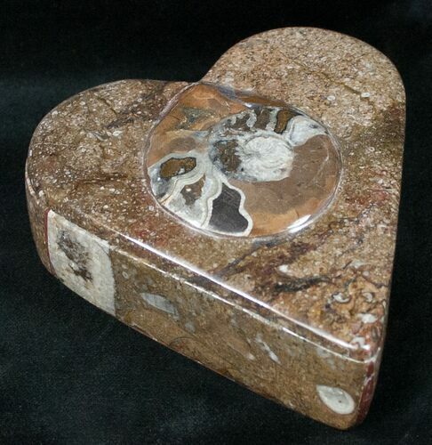 Fossil Goniatite Box (Heart) - Stoneware #12226